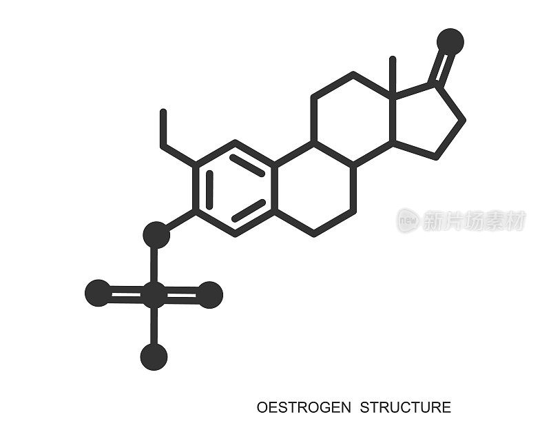 雌激素图标。雌激素的化学分子结构。女性类固醇性激素体征。激素替代疗法的概念。向量大纲说明