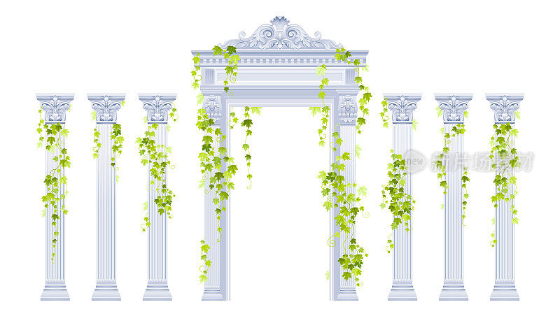 希腊拱柱向量集与常春藤植物。罗马古式建筑框架配石柱、藤蔓。白色大理石门和绿色的常春藤植物。经典的拱柱宫殿建筑插图