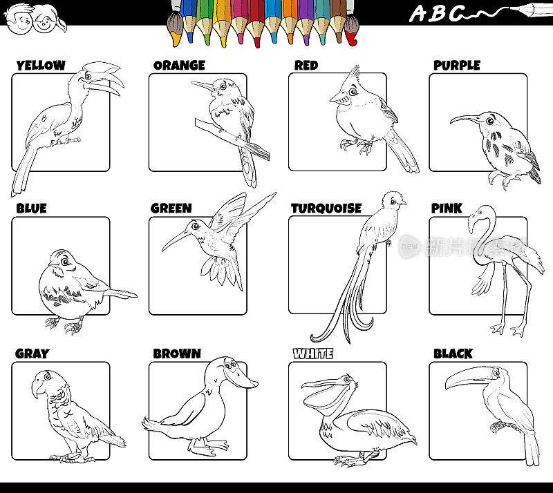 基本颜色用鸟类动物人物设置着色页