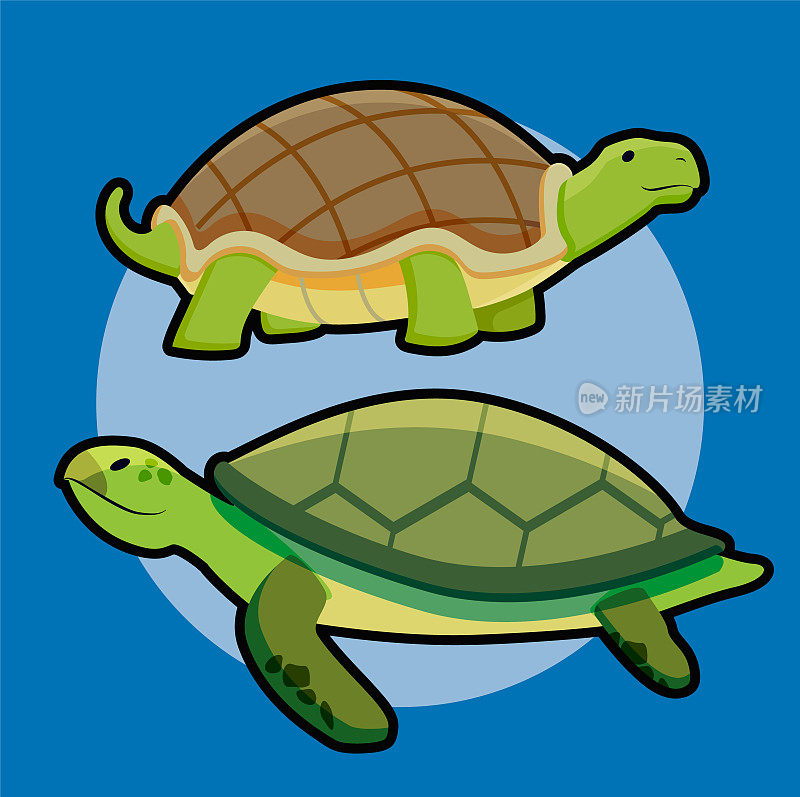 海龟和陆地海龟矢量插图