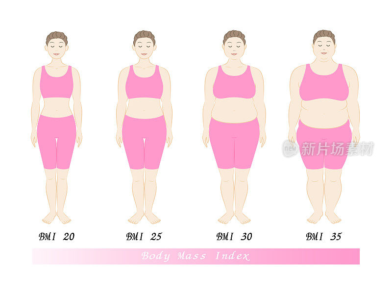 身体质量指数。中年女性的体型变化。饮食前后。插图。向量。