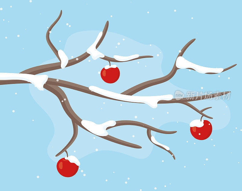 冬天的风景，光秃秃的树枝上挂满了雪的苹果