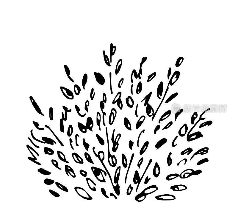 简单的矢量墨水草图。郁郁葱葱的落叶灌木，孤立在白色背景上。自然和植被。