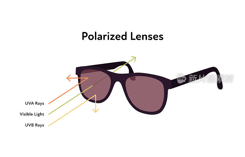 保护太阳镜信息图表。矢量平面现代插图。在白色背景上带有偏光镜片的太阳眼镜。UVA、UVB和可见反射光波箭头符号。