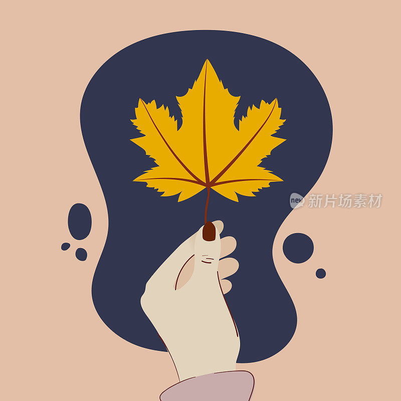 人手握枫叶。秋天的氛围。矢量插画，平面设计
