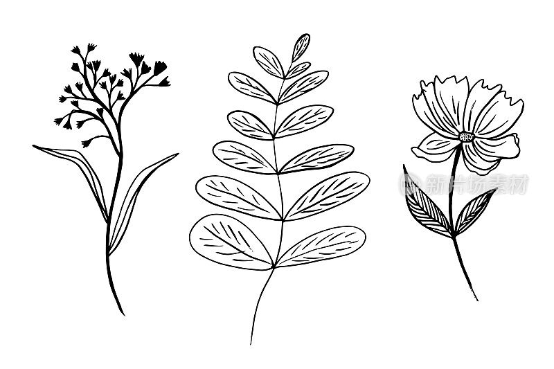 花卉手绘套装。矢量插图的花和树枝与叶子用黑色钢笔和孤立的白色。奇异的(不存在的)植物的轮廓图
