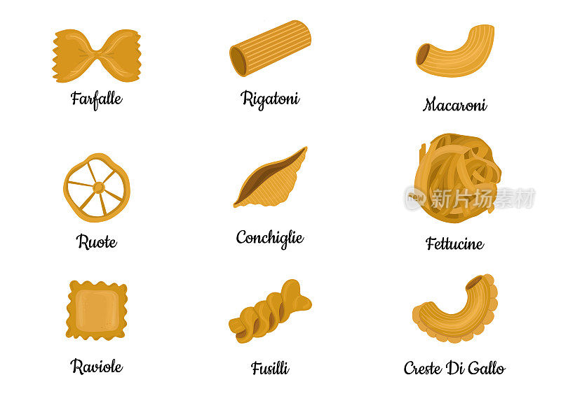 大集与不同类型的意大利面食矢量插图隔离在白色背景上。意大利面，法法尔，通心粉，通心粉，意大利馄饨，意大利细面条，海螺，手肘，意大利宽面条插图。
