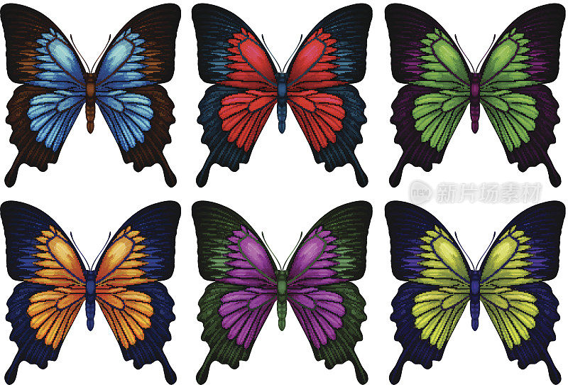 色彩斑斓的蝴蝶
