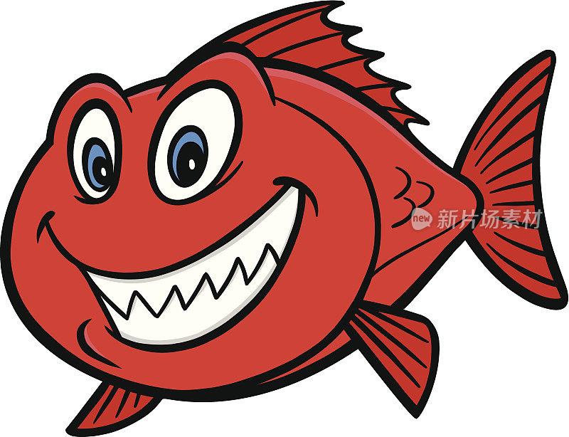 红鲷鱼鱼