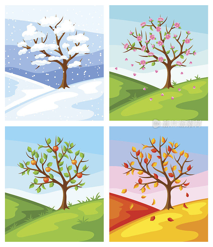 四个季节。在冬天，春天，夏天，秋天的树和景观插图