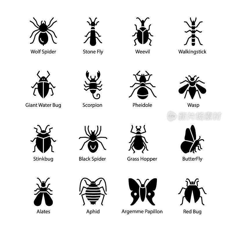 昆虫和Bug图标