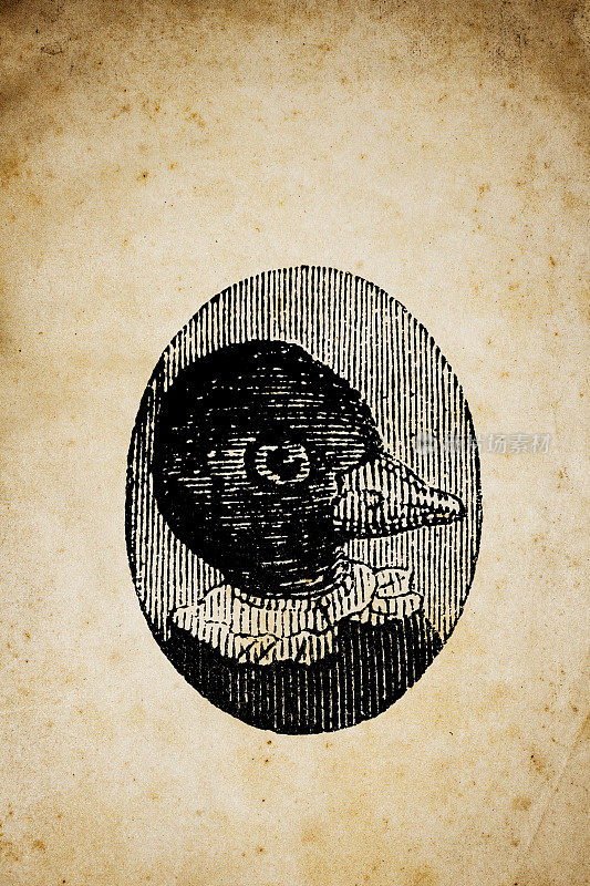 人性化动物插图:鸟的肖像