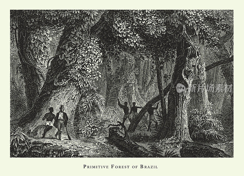 雕刻古董，巴西原始森林，森林，湖泊，洞穴和奇特的岩层雕刻古董插图，出版于1851年