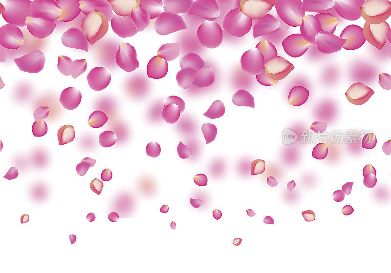 向量飘落玫瑰粉红色的花瓣。花的背景