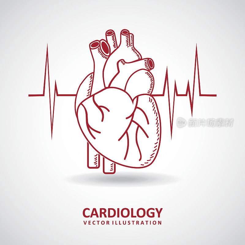 心脏病学设计