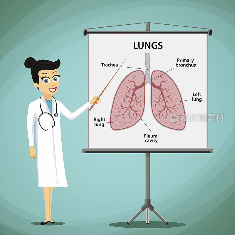 女医生在黑板上展示人的肺。