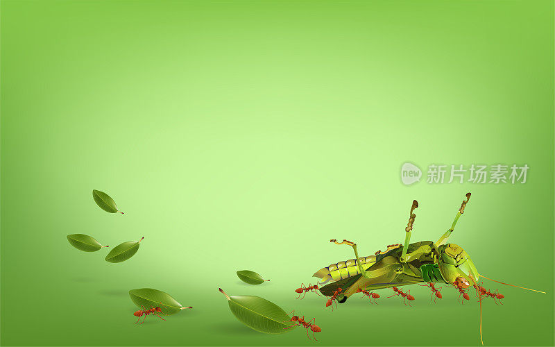 昆虫生命概念，蚂蚁是移动的蚱蜢在绿色的背景，矢量插图。