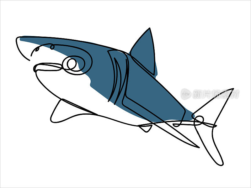 线型的海鱼。鲨鱼。海洋生物的程式化插图。