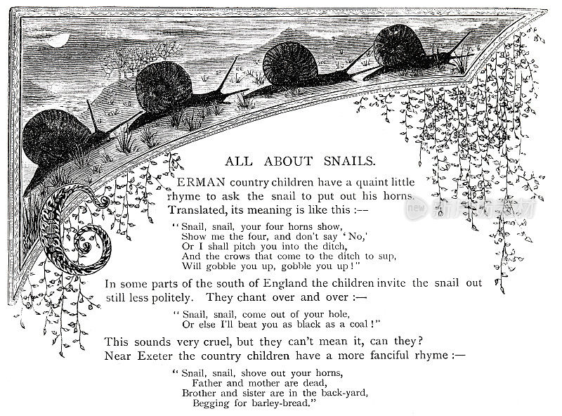 关于蜗牛的诗