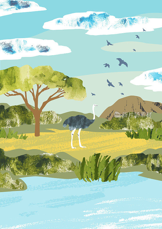 水彩向量非洲景观与鸵鸟，山，树和河流。自然插图印刷，明信片，横幅，书