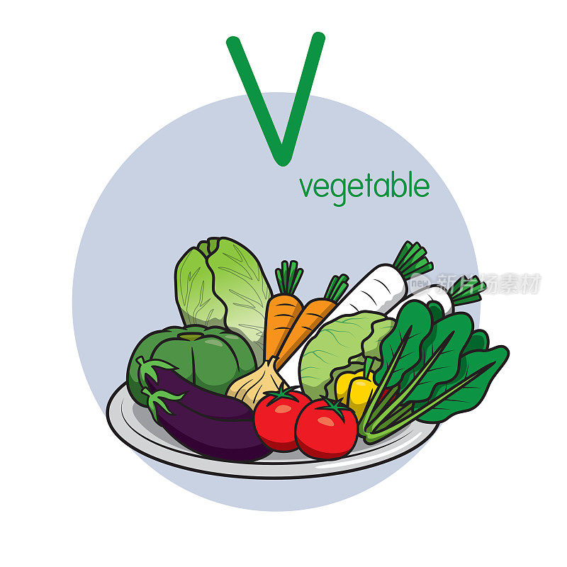 向量插图蔬菜与字母V大写或大写字母为孩子学习实践ABC