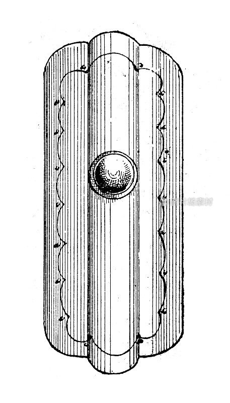 古董插图:盾