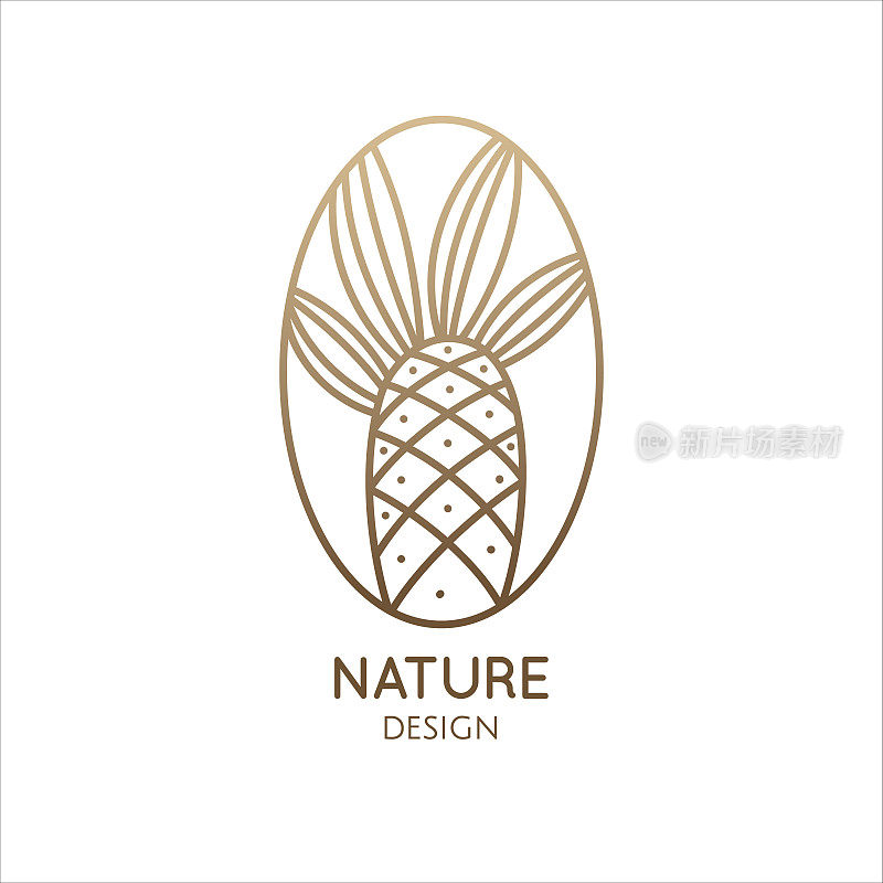 矢量标志的棕榈在椭圆形。热带叶线形徽标，用于商务、度假、旅行社、生态与度假概念、旅游、水疗、天然化妆品设计。最小的插图