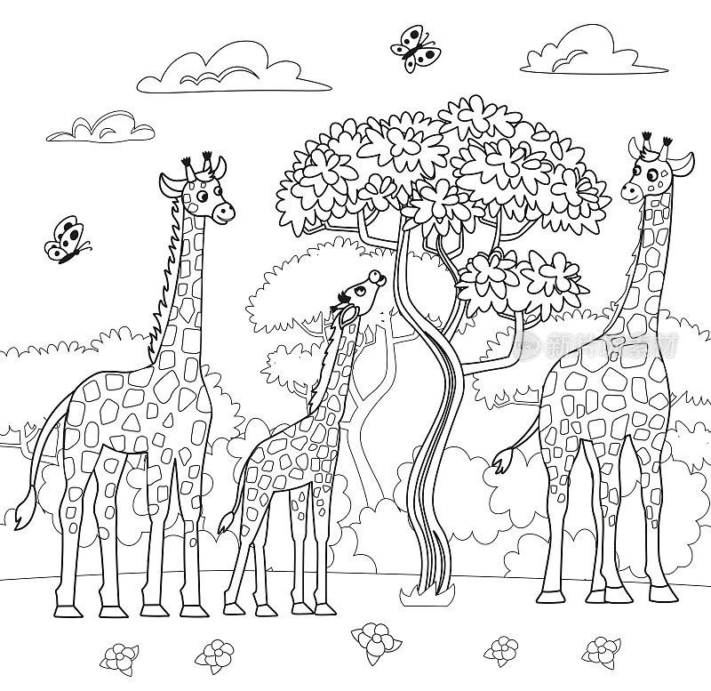 有动物园动物的大图画书。一套可爱的卡通长颈鹿。长颈鹿吃树叶。非洲的动物。向量卡通插图。