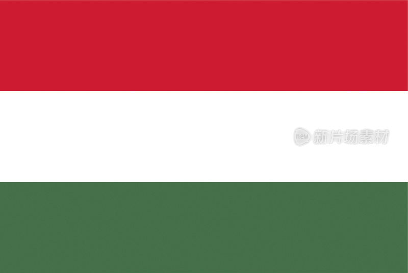 匈牙利国旗矢量插图。
