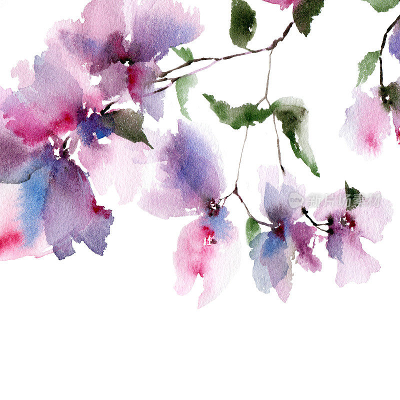 花的边界。框架与紫色水彩抽象花。花的贺卡。花的横幅。