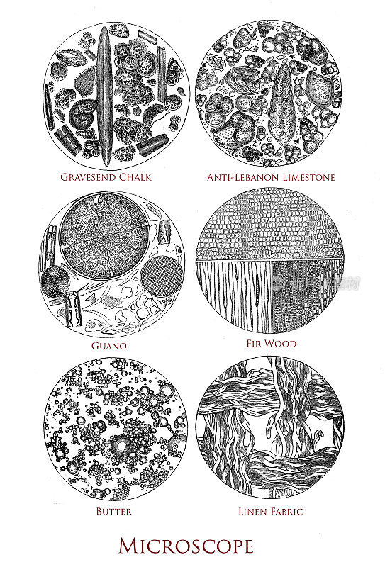 显微镜检查的标本:鸟粪，黄油，织物，木材，石灰石，白垩。19世纪的雕刻