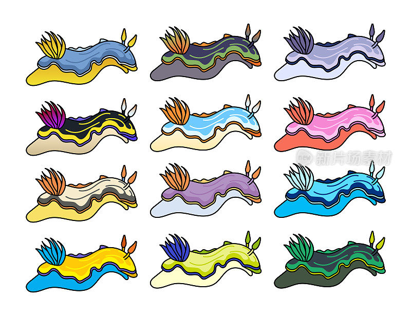 图标和插图的各种裸鳃在不同的颜色。