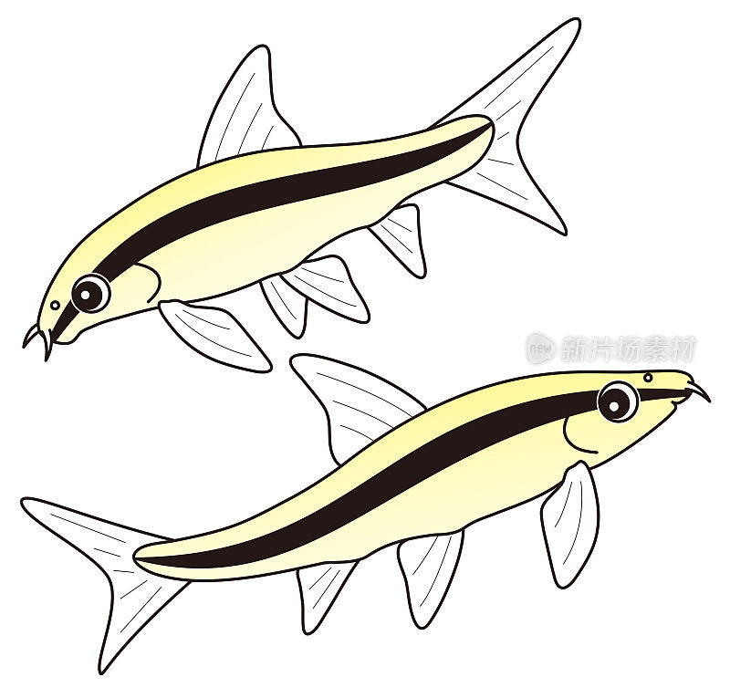 吃鱼的Hedro和苔藓Saiami的飞狐人物插图吃苔藓的鱼交叉嘴Oblongus人物插图