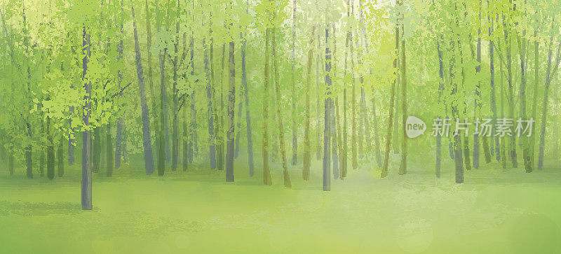 矢量绿色森林景观。