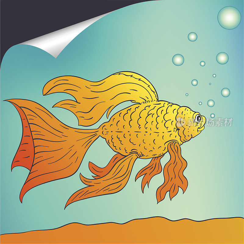 Gold-carp(向量)