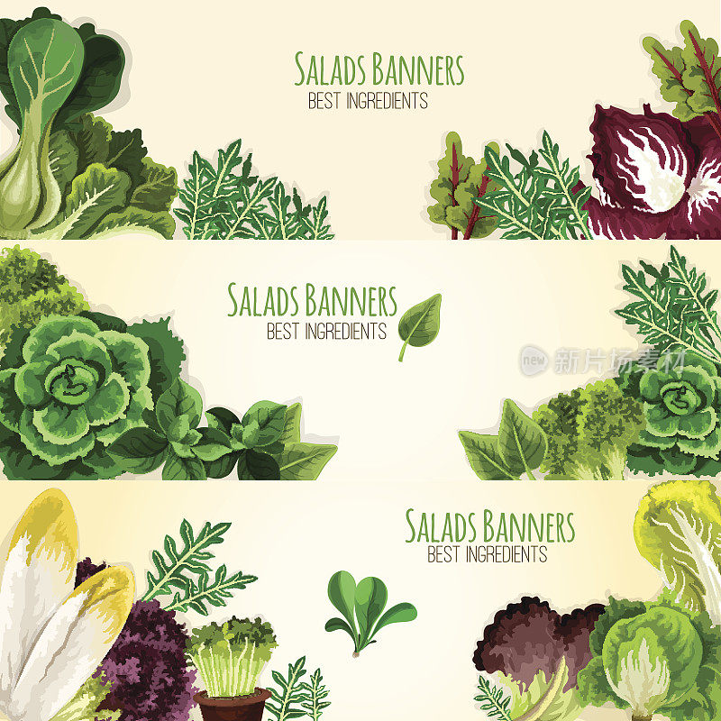 沙拉或绿叶蔬菜矢量横幅设置