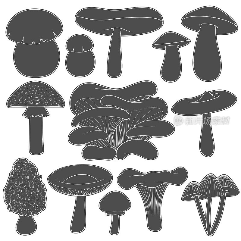 一组带有蘑菇的黑白图像。孤立的矢量对象。