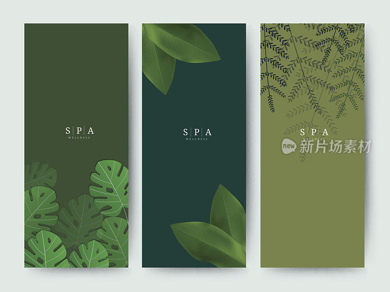 品牌包装棕榈椰竹树叶自然背景，横幅代金券，春夏热带，矢量插图