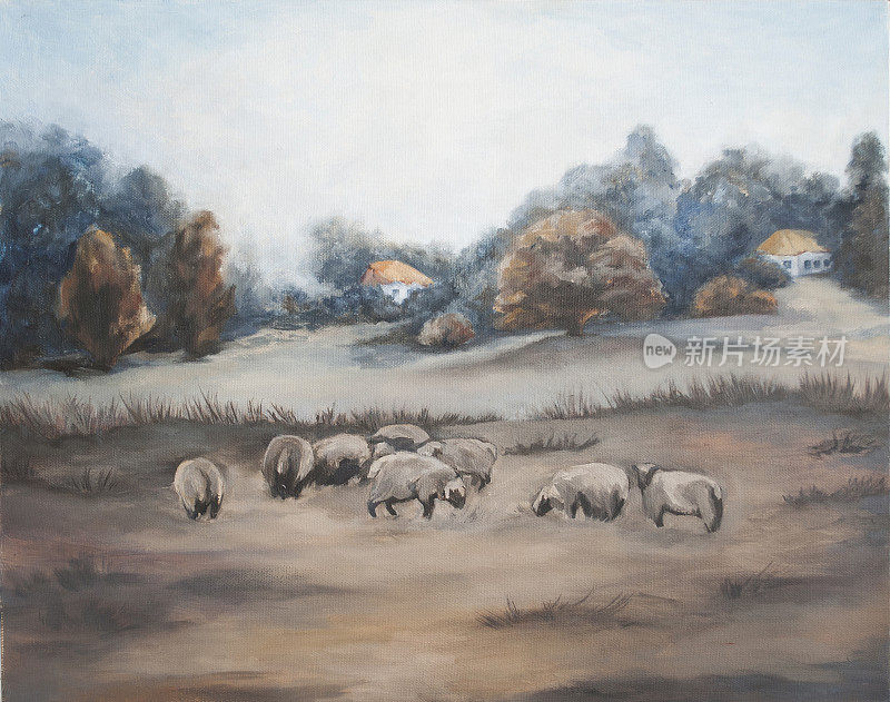乡村的早晨，羊在吃草，乡村的风景