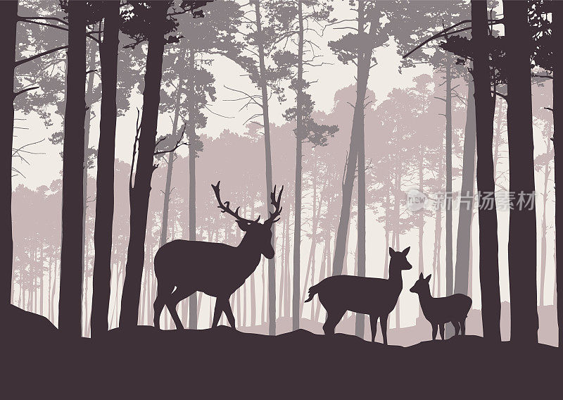 现实的山地景观插图与针叶林下的天空与雾霾。鹿，牝鹿和小鹿站着，看着山谷-复古向量