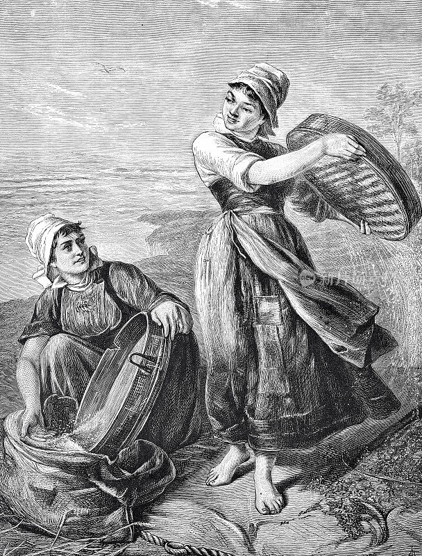 两个爱尔兰人在收获的时候在田里筛麦子，把麦穗装进麻袋里
