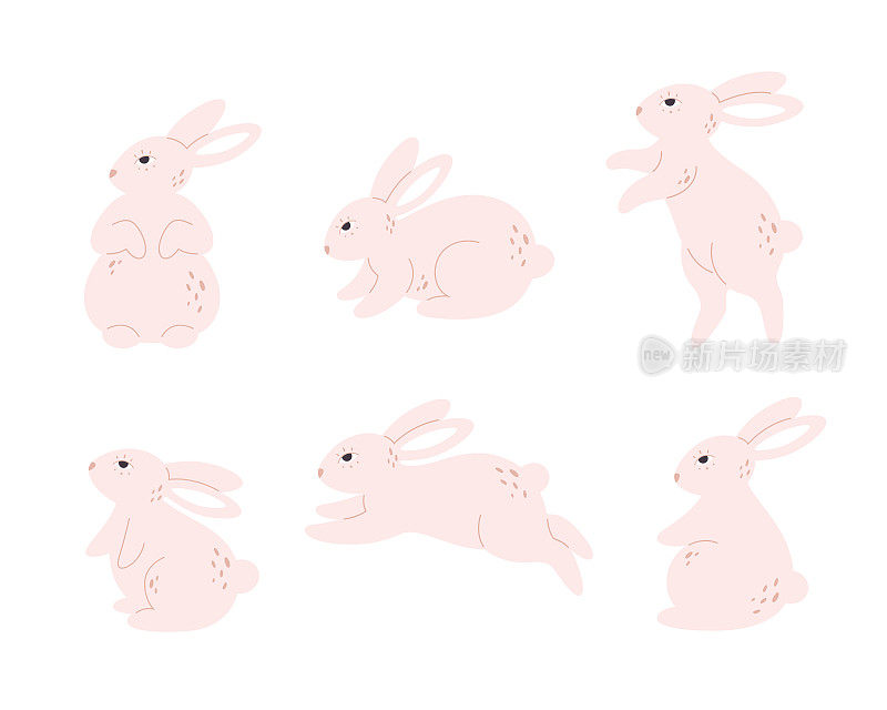 可爱的小白兔系列。兔子角色在不同的姿势和动作:坐，跳，躺。手绘矢量插图