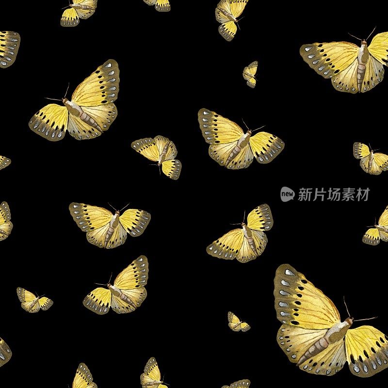 蝴蝶黄色水彩画图案黑色大