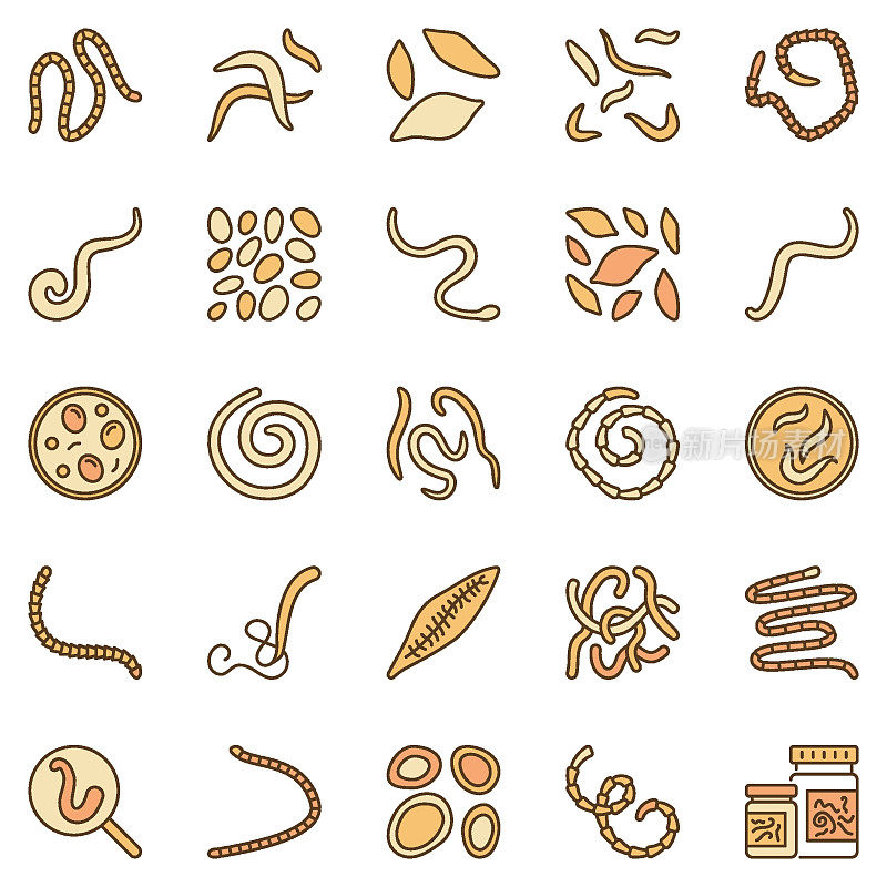 蠕虫彩色矢量图标-蠕虫肠道蠕虫概念符号