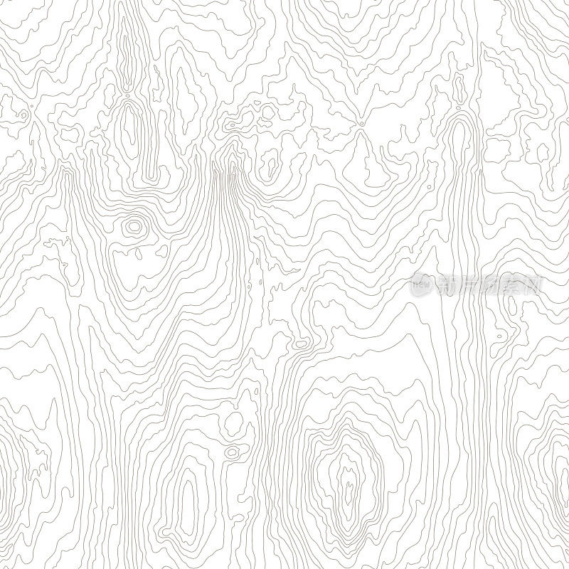 木纹白色纹理。无缝木纹。抽象线条背景。树纤维图解