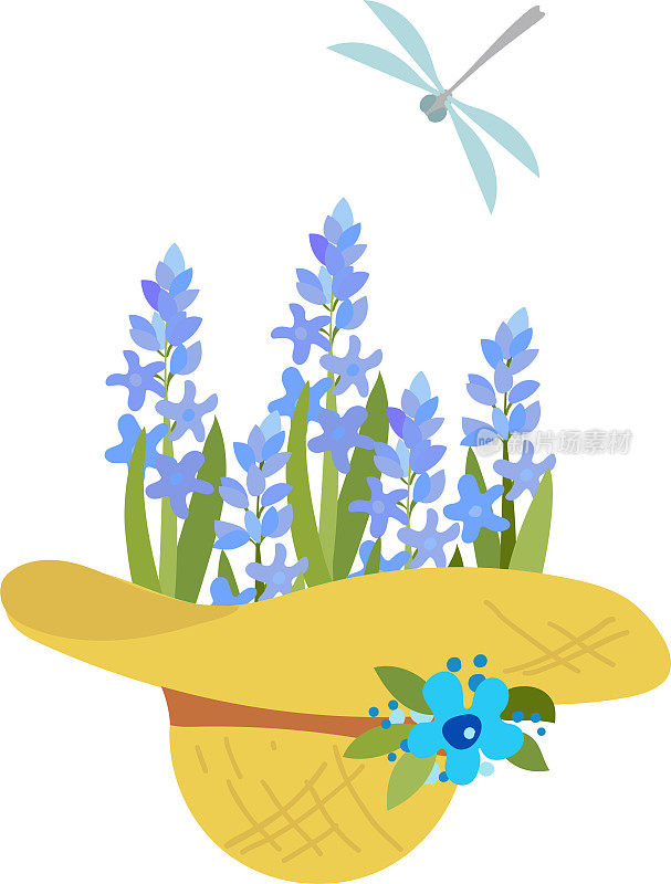 以花卉、蓝风信子和蜻蜓为主题的夏季帽子，以园艺为主题的插图