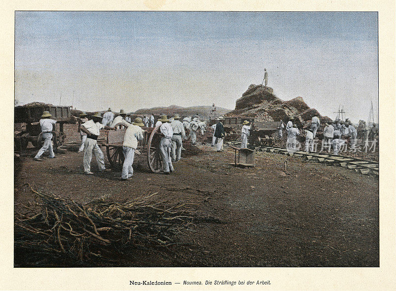 囚犯在工作，努姆萨，新喀里多尼亚，19世纪90年代的历史，19世纪，古着照片
