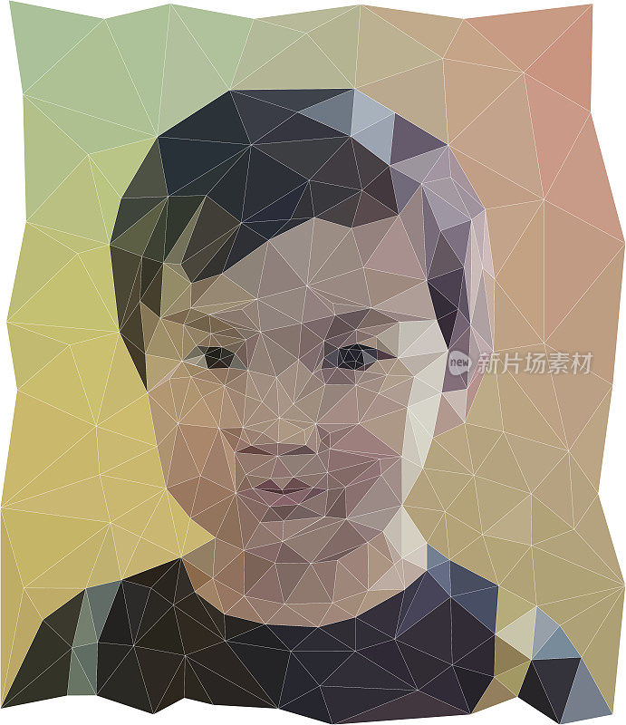 低聚亚裔美国男孩肖像向量