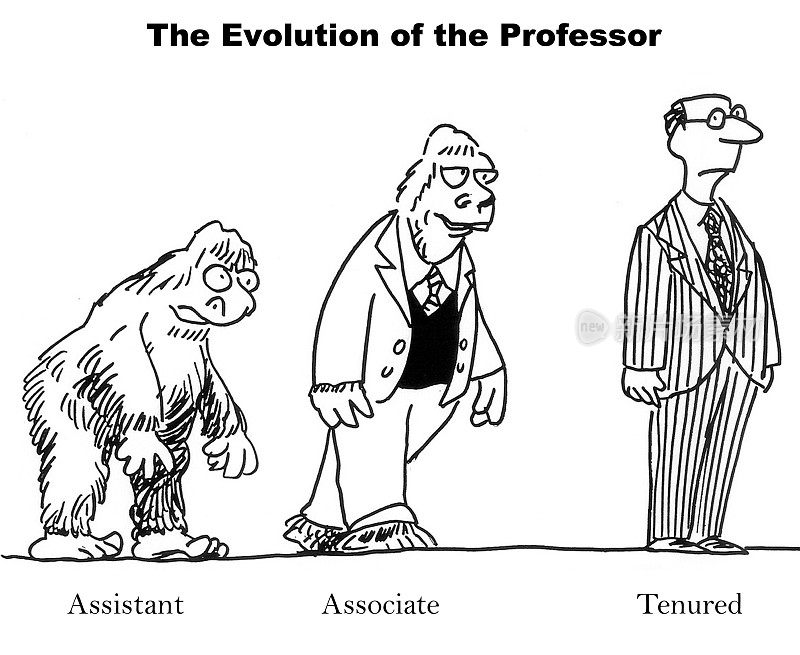 教授的进化