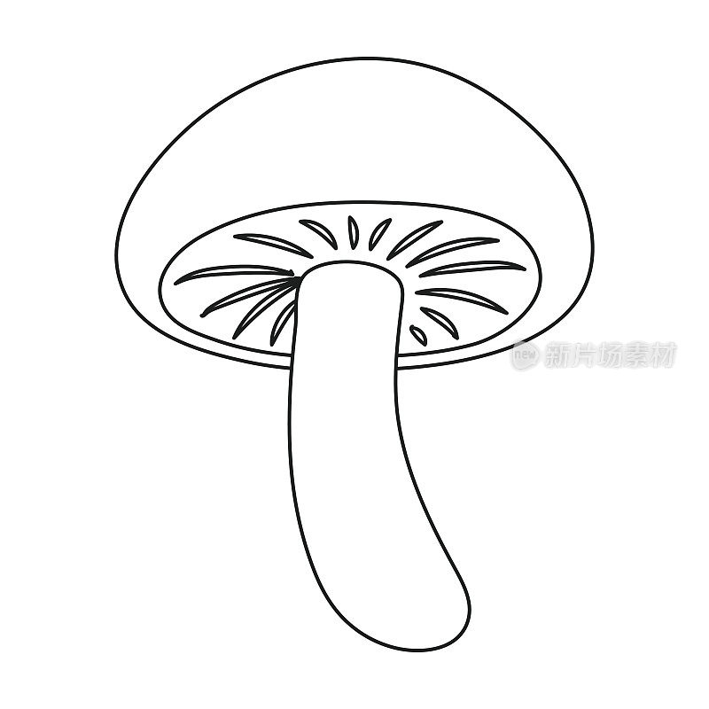 香菇图标在轮廓风格孤立在白色背景。蘑菇符号股票矢量插图。